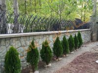 ساخت حفاظ|حفاظ دیوار|حفاظ شاخ گوزنی|حفاظ بوته ای|حفاظ لاله |حفاظ